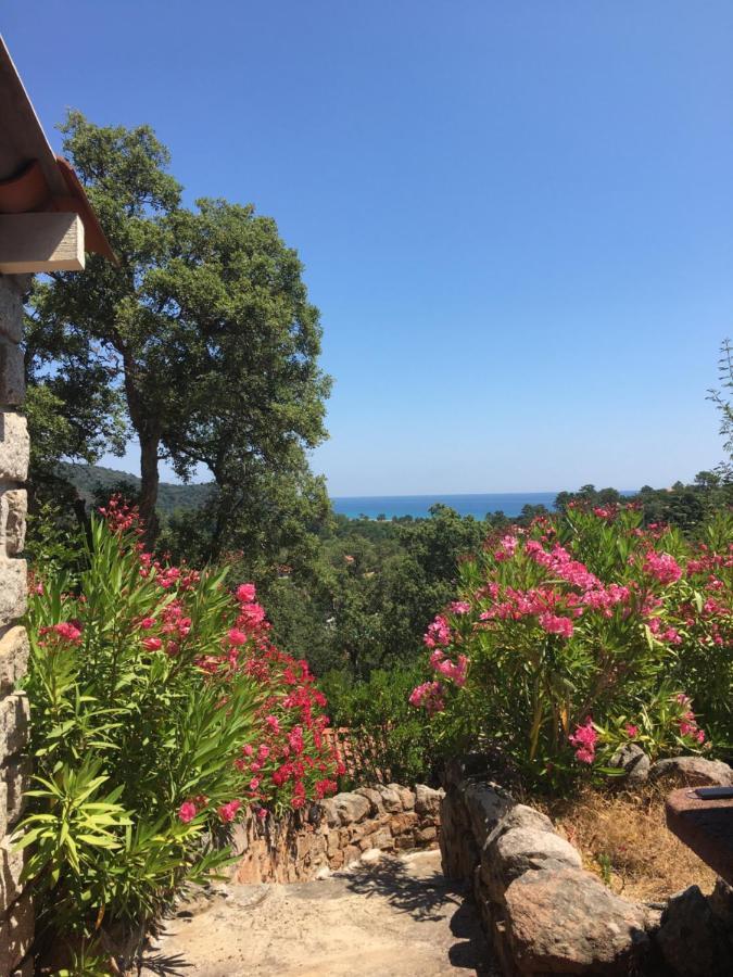 Thalassa Holiday home