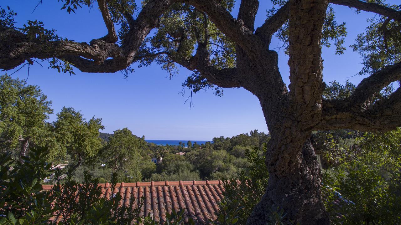 Thalassa Holiday home