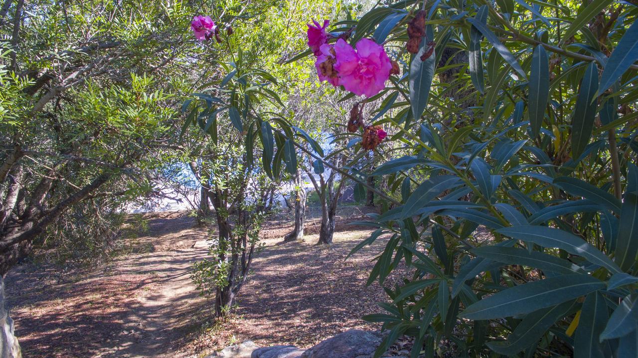 Thalassa Holiday home Sainte-Lucie de Porto-Vecchio