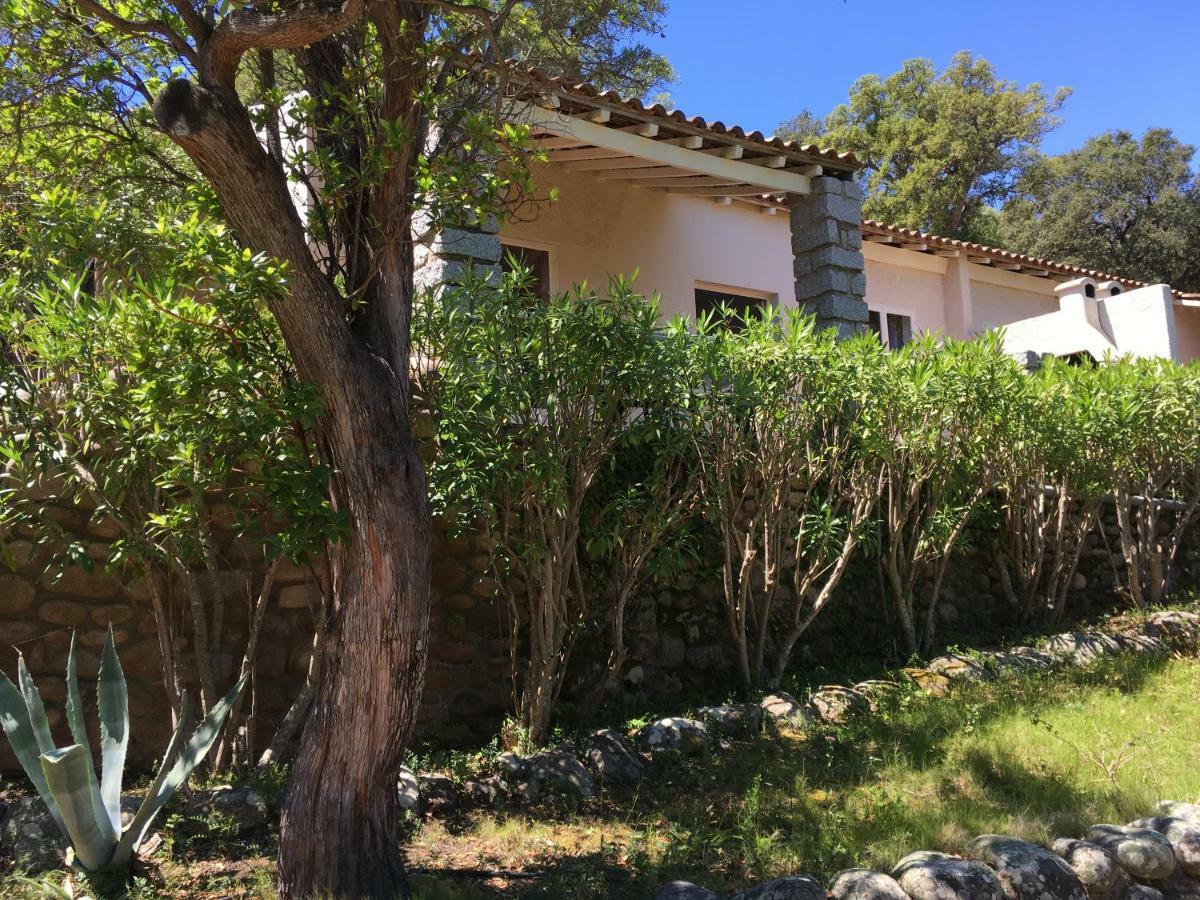Thalassa Holiday home *